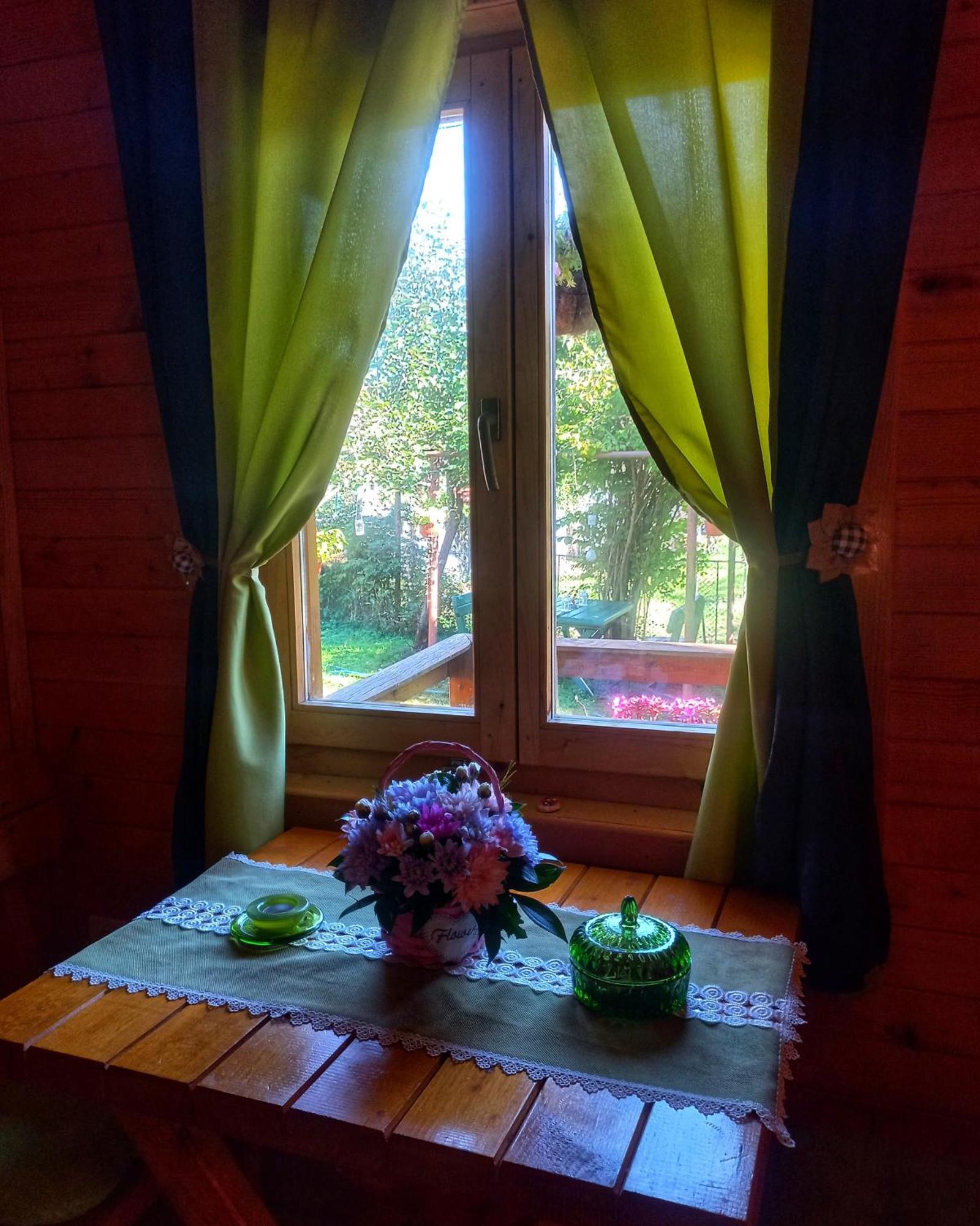 Willa Brvnara Borovik Cetynia Zewnętrze zdjęcie